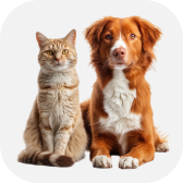 Иконка категории Товары для животных